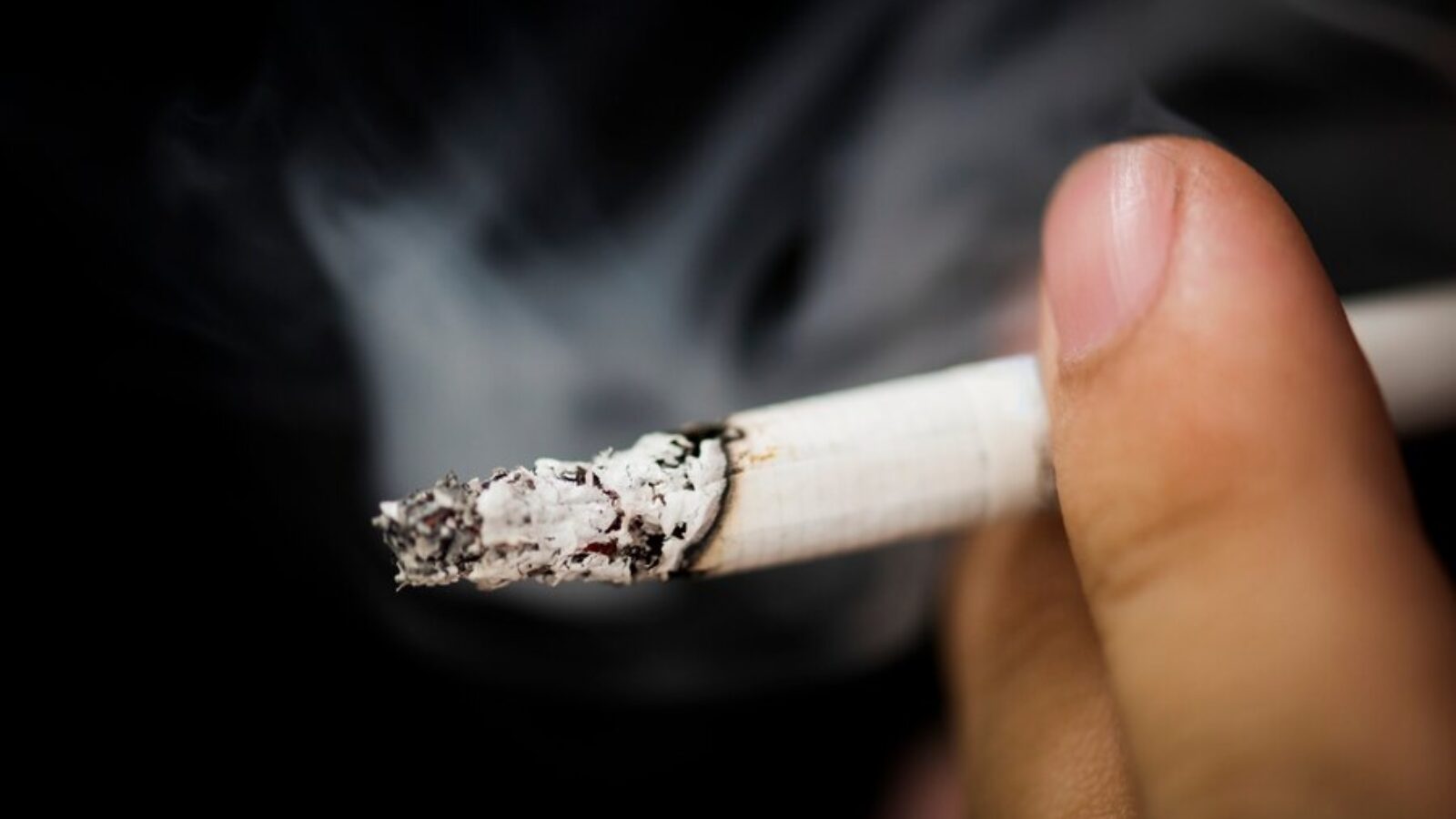 Homepage - Heilig Hartziekenhuis Mol